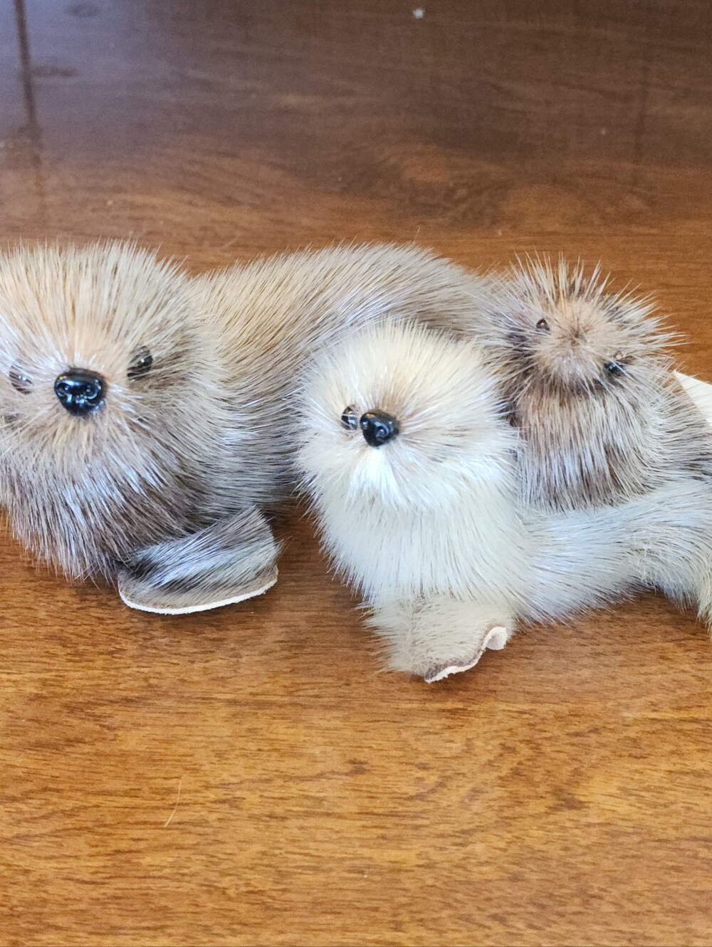 Vintage Real Fur Taxidermy Mini Artic Seal & Baby Seal Craft & Furs Canada